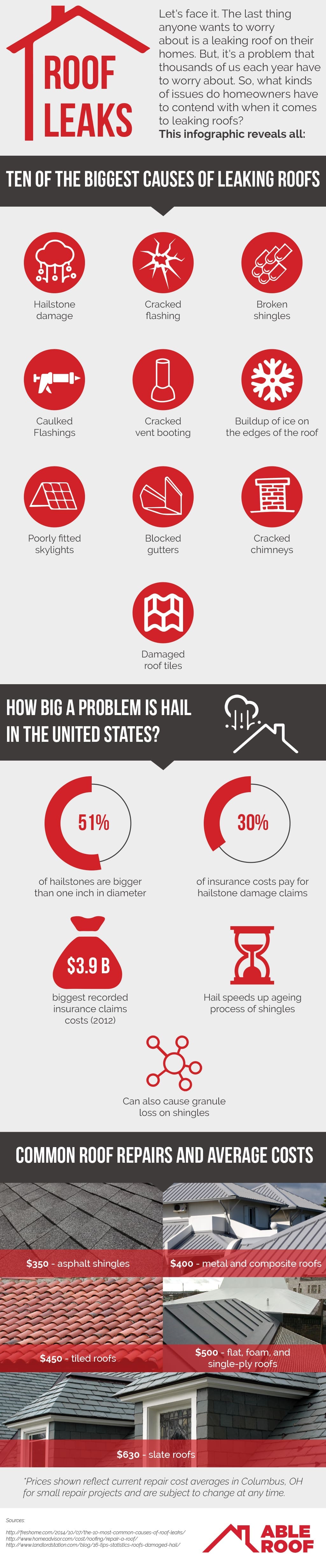 Roof Leaks Infographic - by Able Roof