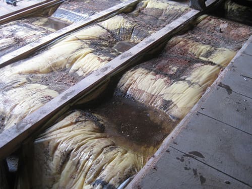Old insulation needs replaced