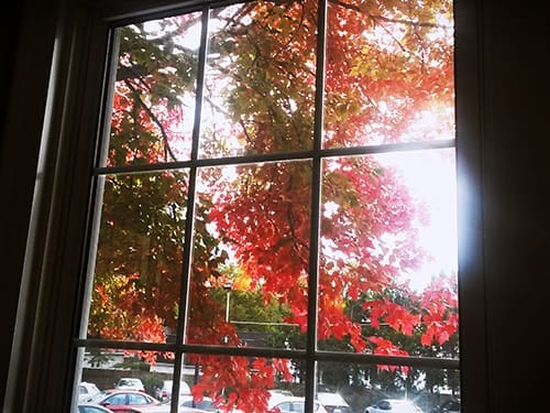 New windows