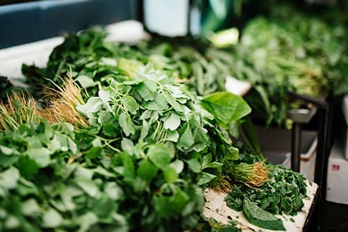 Herb growing