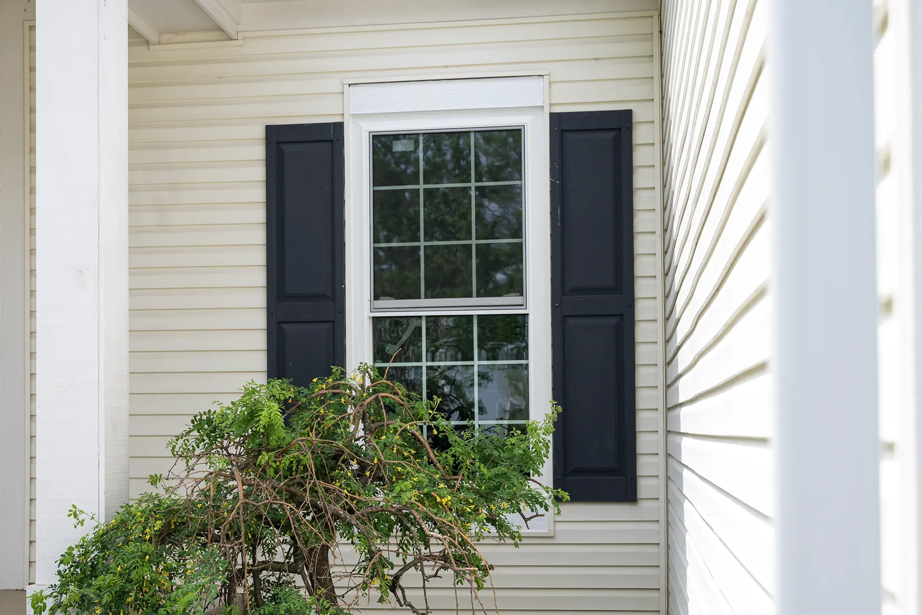 Windows Pickerington OH 6